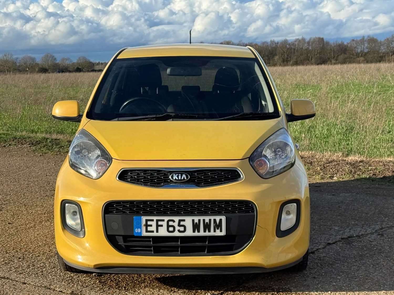 Used Kia Picanto 2016 for sale - 77694044: Photo 3