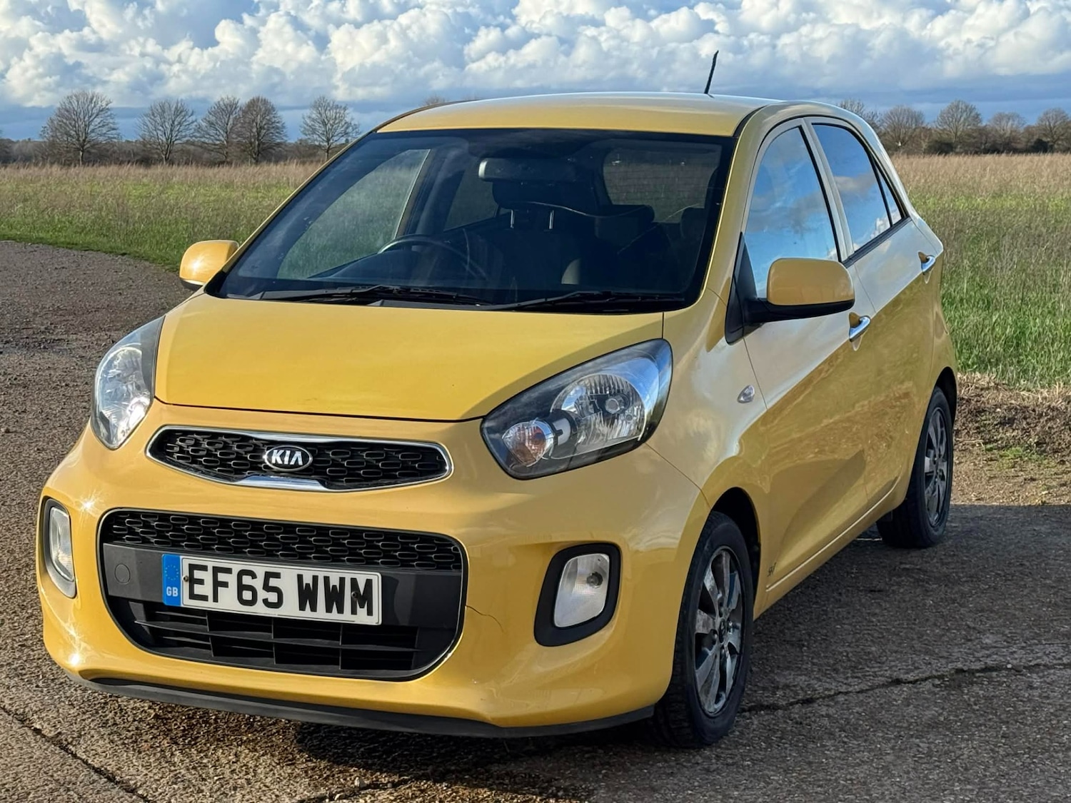 Used Kia Picanto 2016 for sale - 77694044: Photo 4