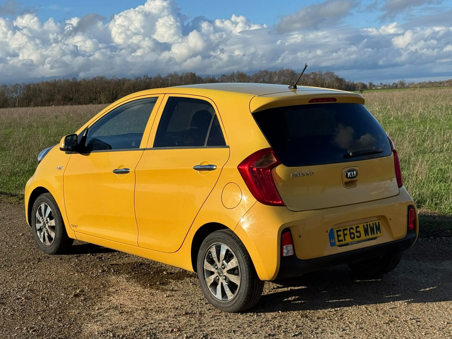 Used Kia Picanto 2016 for sale - 77694044: Photo 6