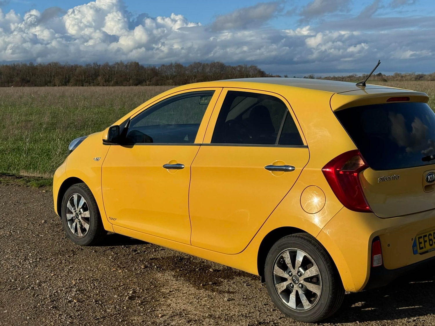 Used Kia Picanto 2016 for sale - 77694044: Photo 7