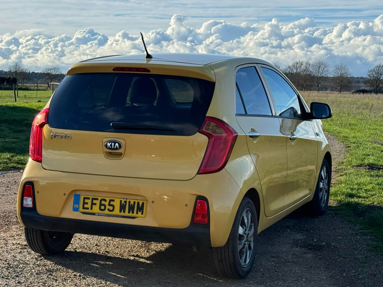 Used Kia Picanto 2016 for sale - 77694044: Photo 9