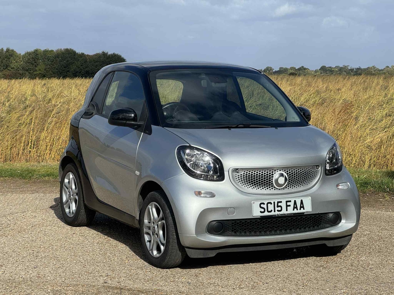 Used smart fortwo 2015 for sale - 76177466: Photo 1