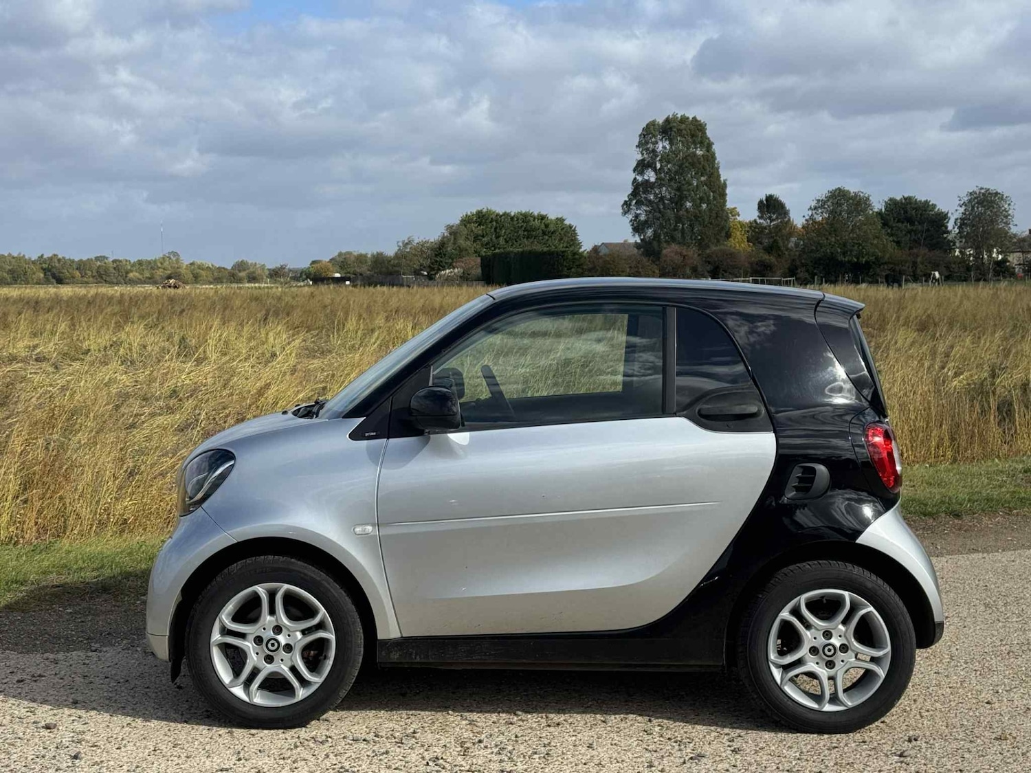 Used smart fortwo 2015 for sale - 76177466: Photo 10