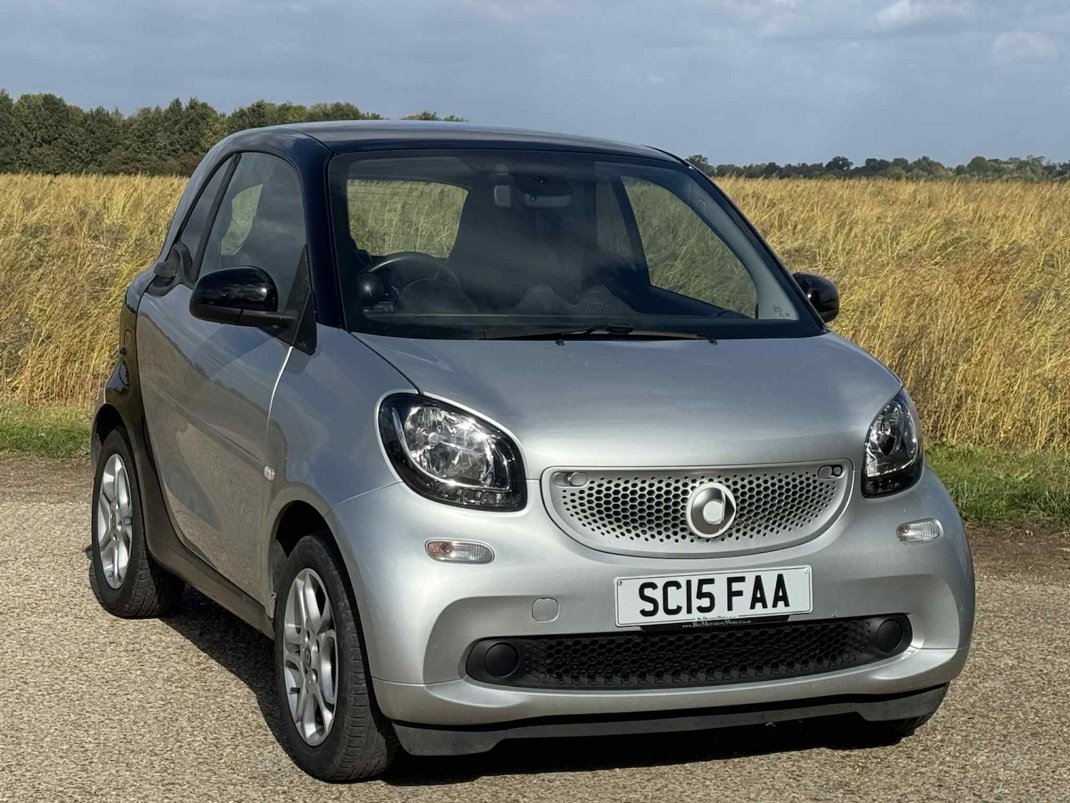 Used smart fortwo 2015 for sale - 76177466: Photo 2
