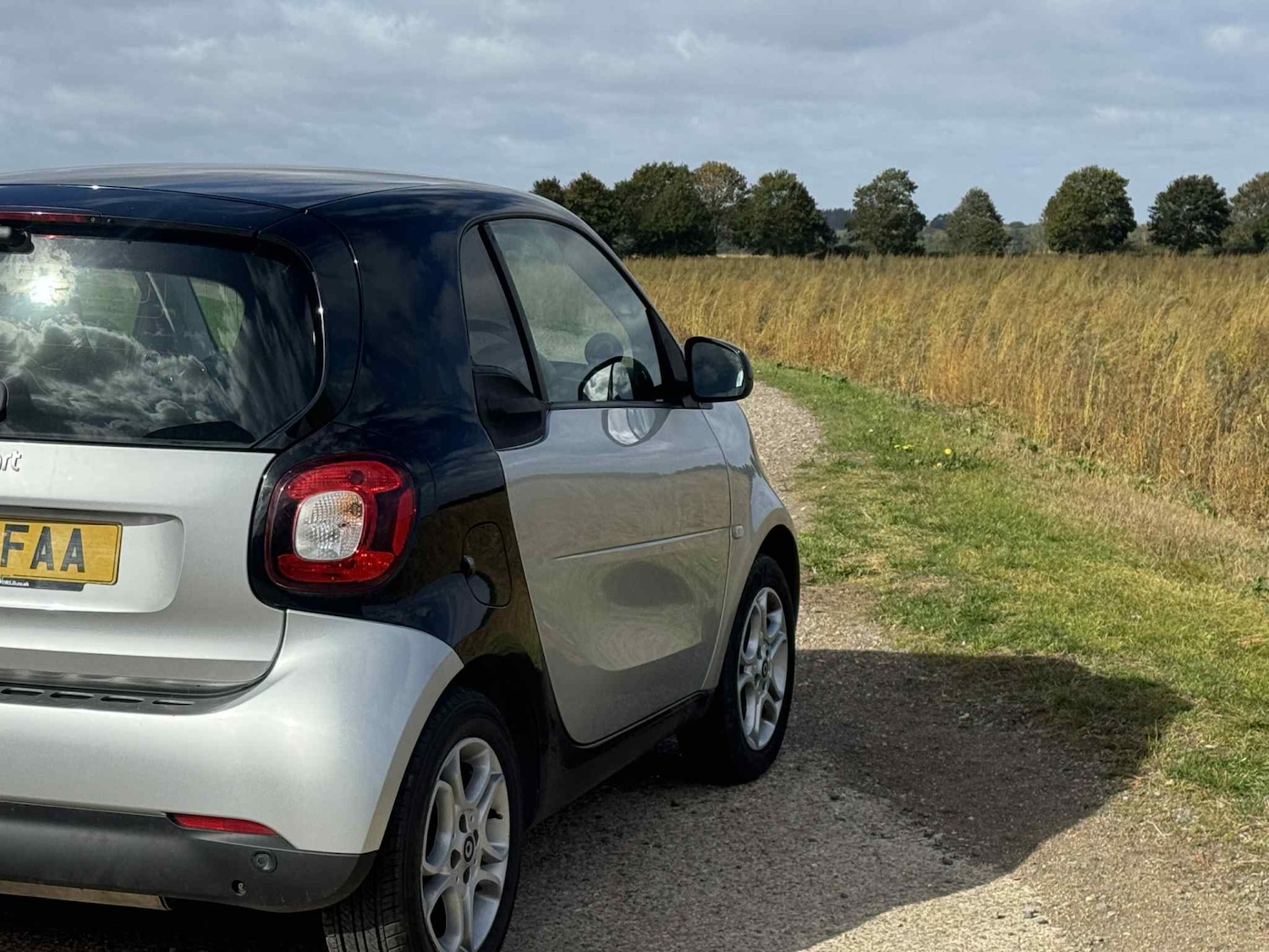Used smart fortwo 2015 for sale - 76177466: Photo 5