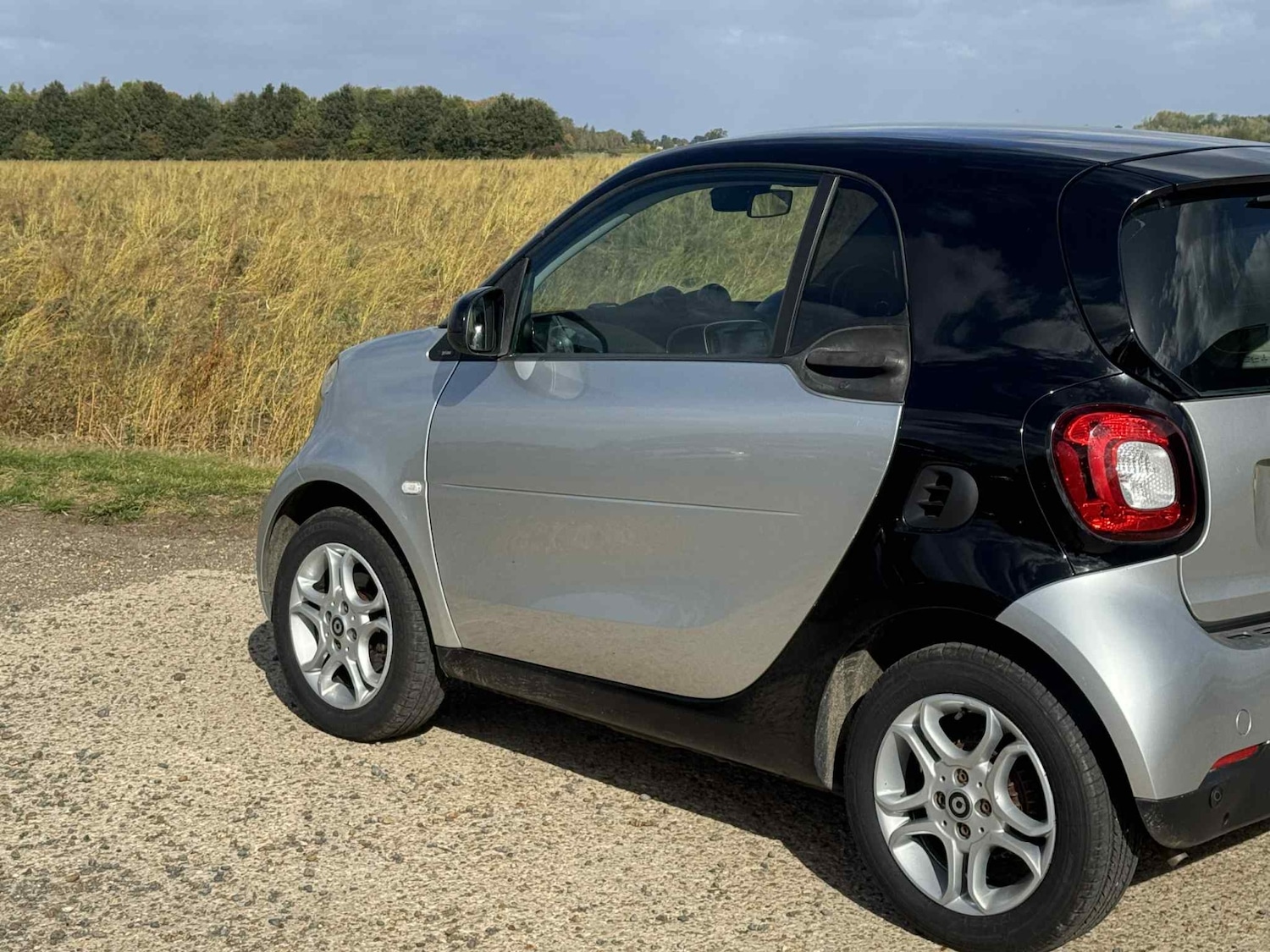Used smart fortwo 2015 for sale - 76177466: Photo 9