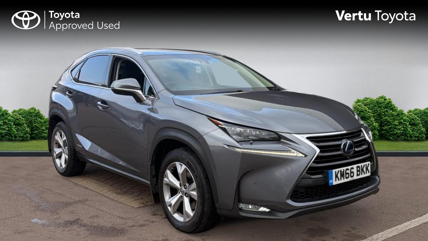 Used Lexus NX 2016 for sale - 77903776: Photo 1
