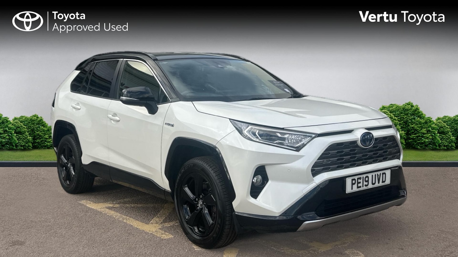 Used Toyota RAV4 2019 for sale - 76640801: Photo 1