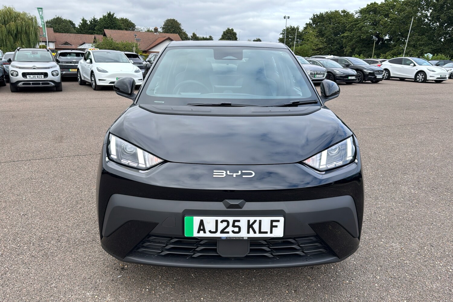 Vehicle 33