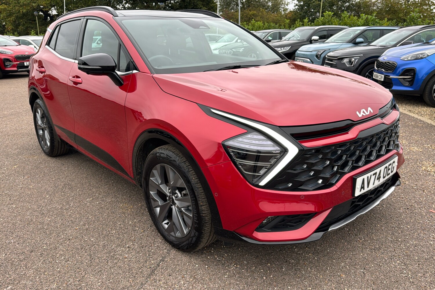 Used Kia Sportage 2024 for sale - 76133550: Photo 33