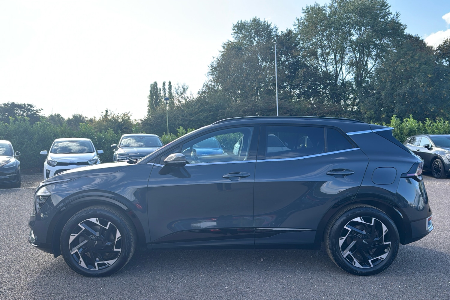 Used Kia Sportage 2022 for sale - 76006569: Photo 35