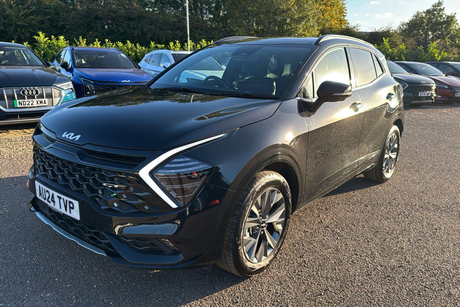 Used Kia Sportage 2024 for sale - 77351041: Photo 35