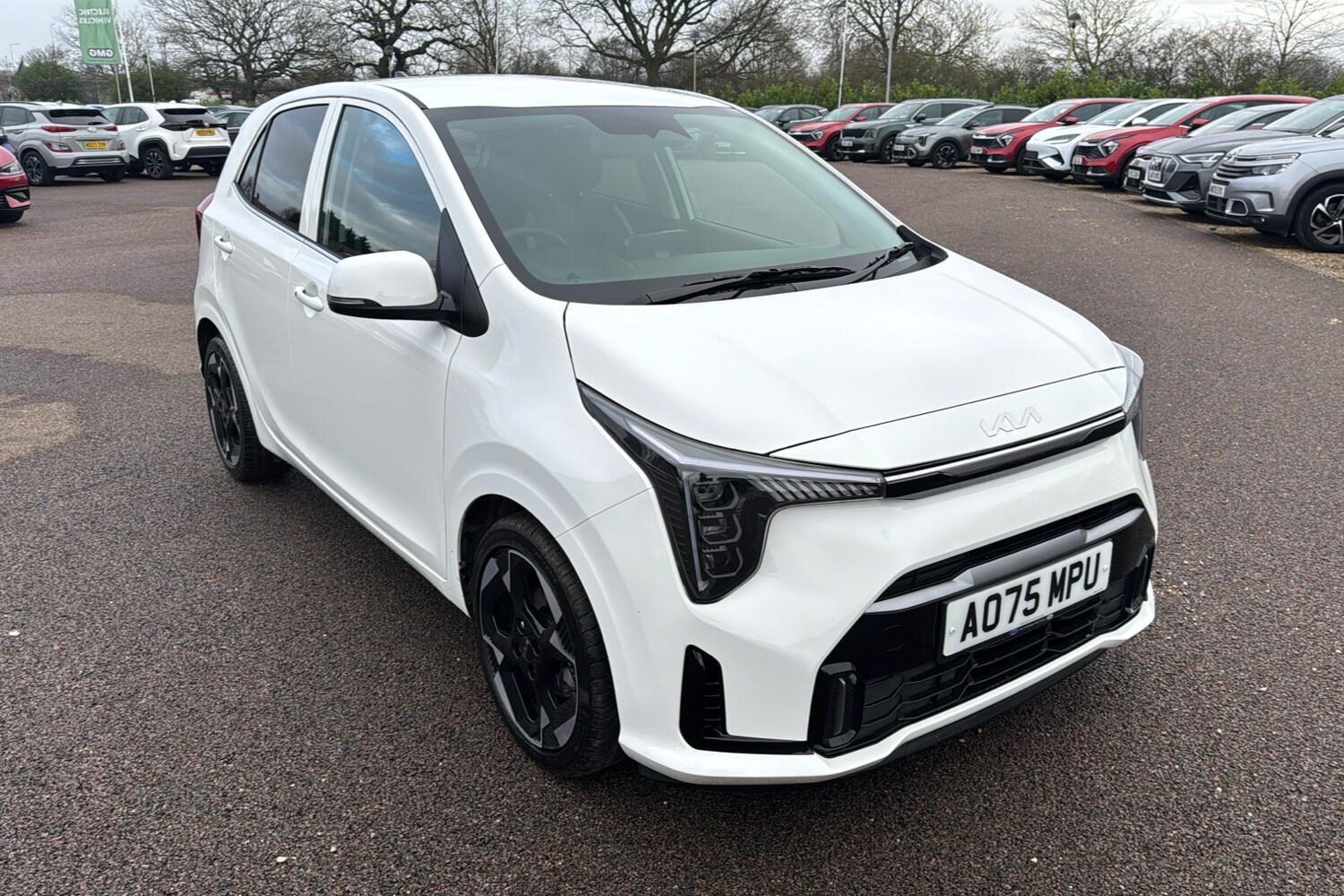 Used Kia Picanto 2025 for sale - 77147657: Photo 32