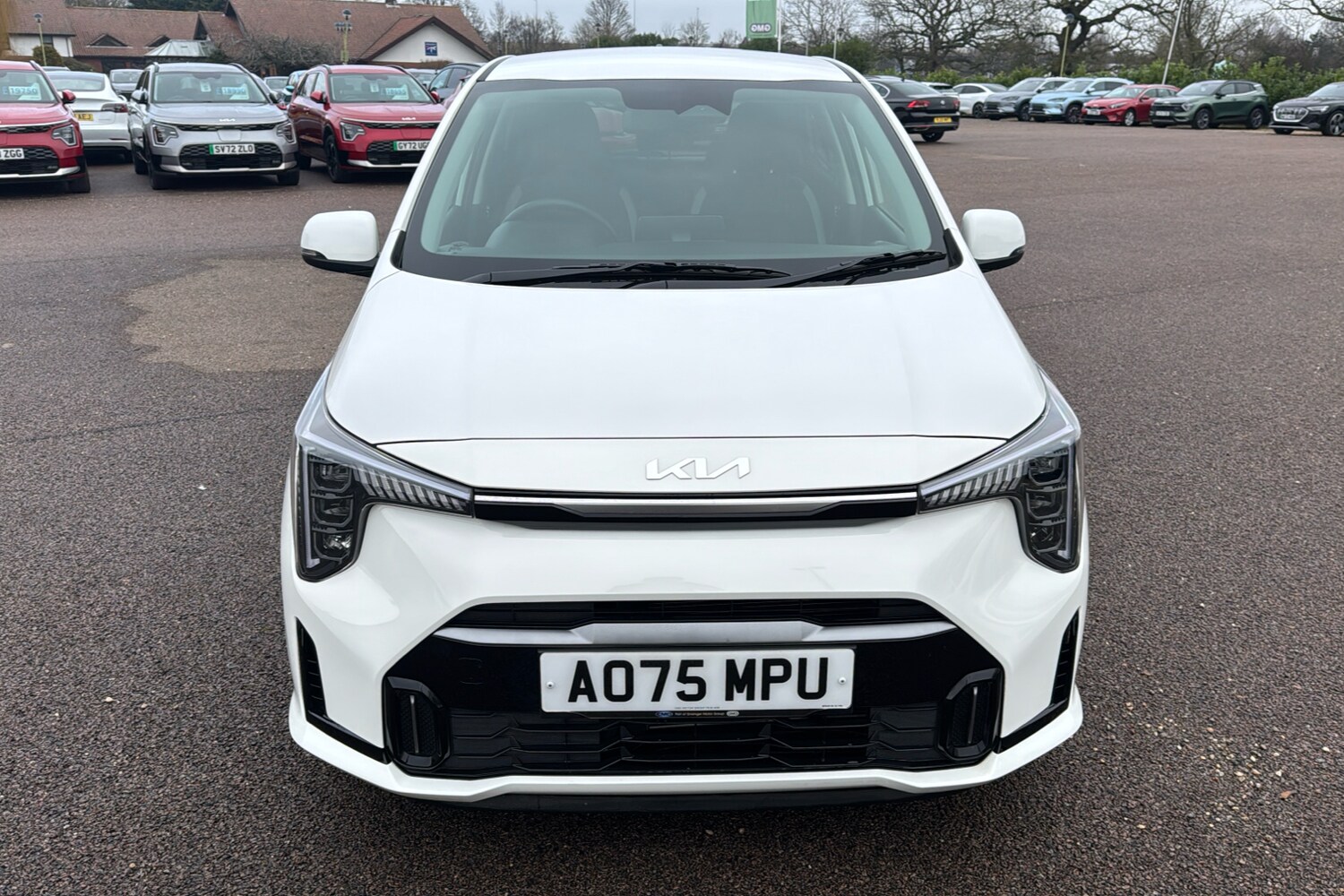 Used Kia Picanto 2025 for sale - 77147657: Photo 33