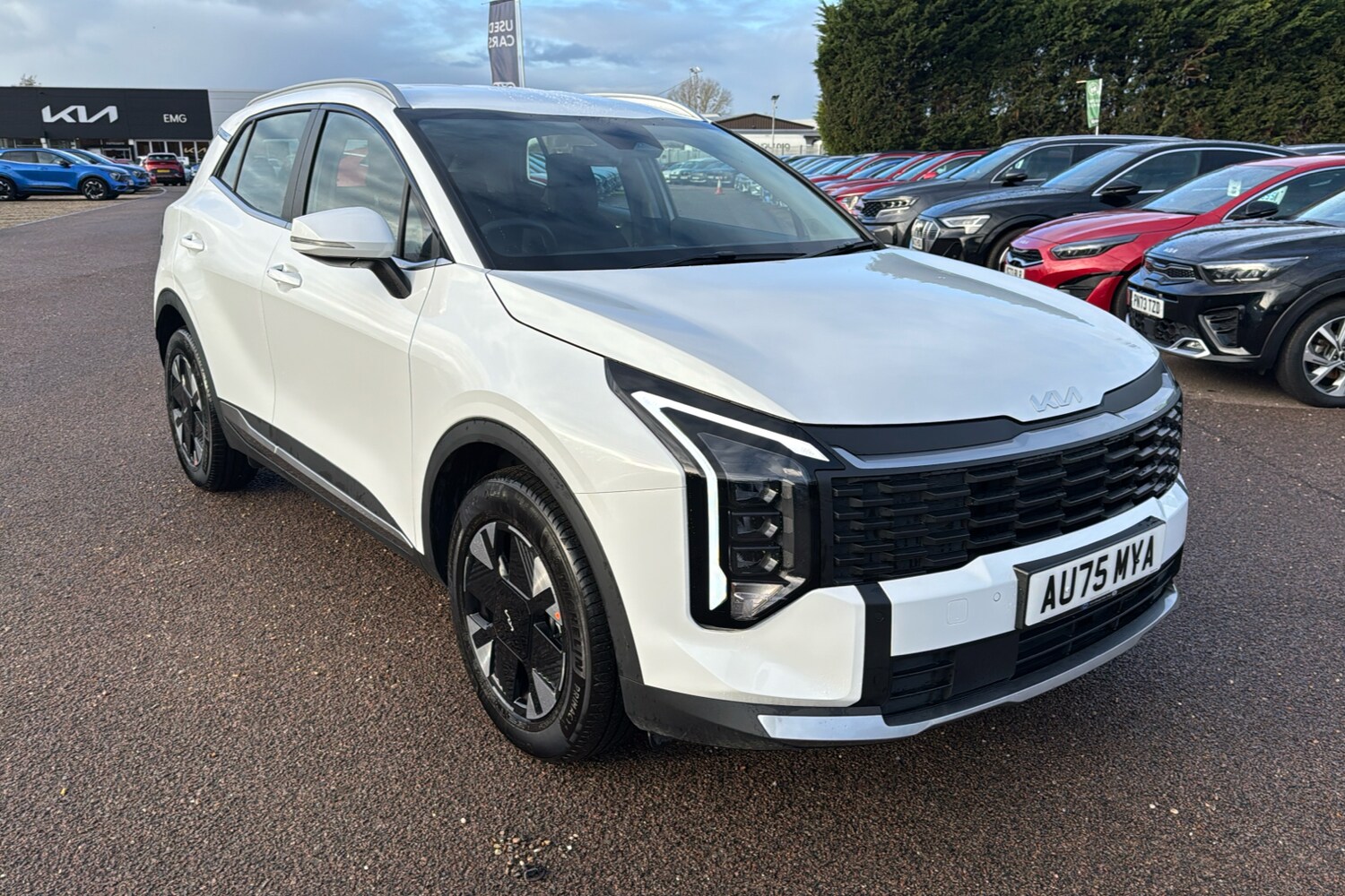 Used Kia Sportage 2025 for sale - 76968246: Photo 32