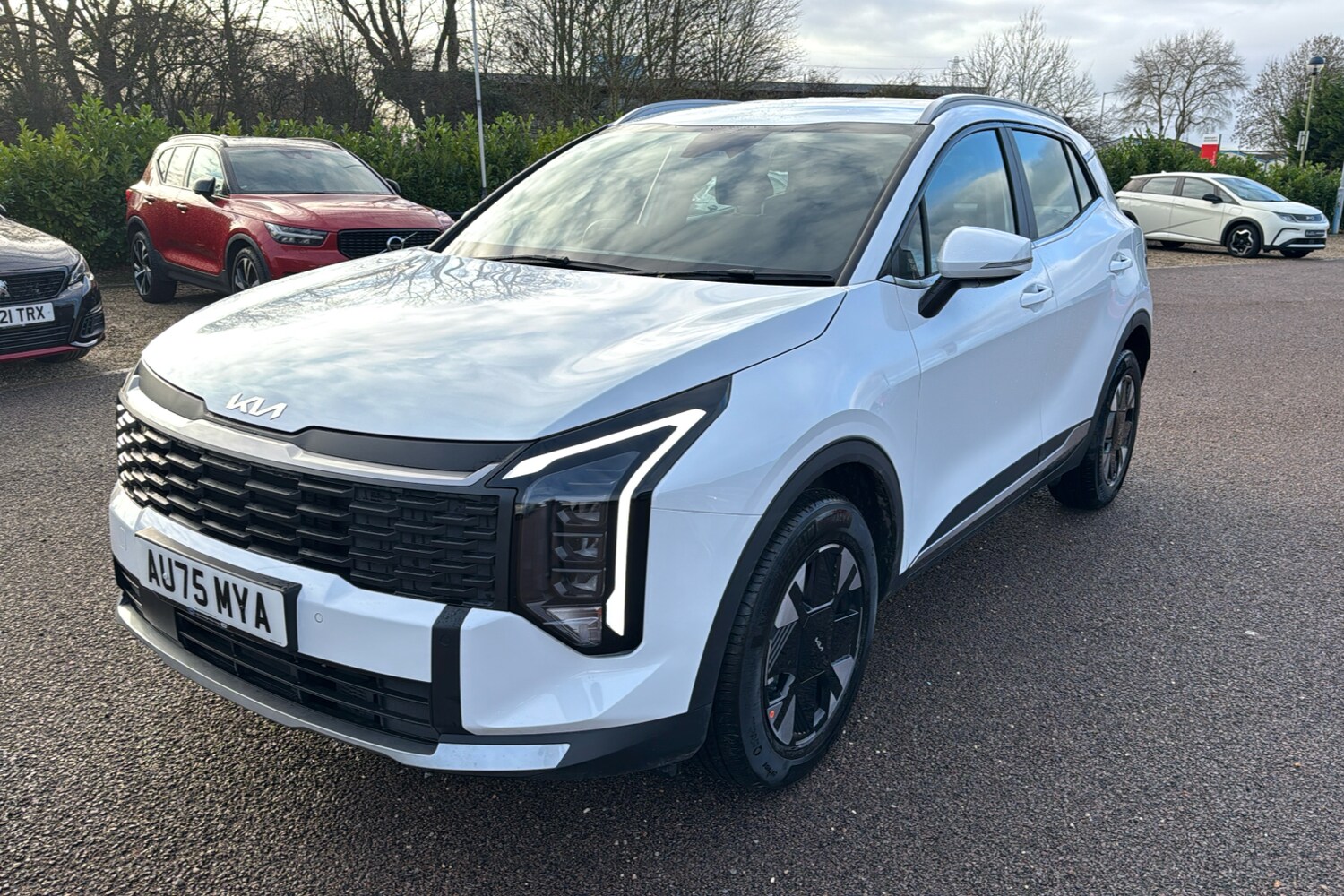 Used Kia Sportage 2025 for sale - 76968246: Photo 34