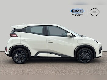 Used BYD Dolphin  for sale - 75580893: Photo