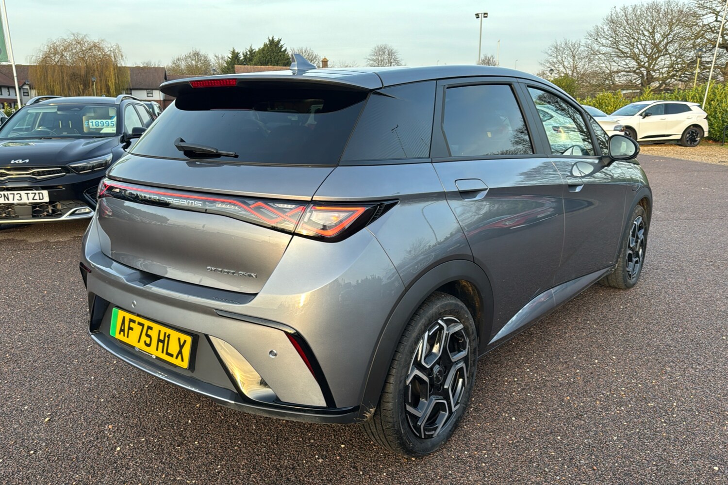 Used BYD Dolphin 2025 for sale - 76938344: Photo 28