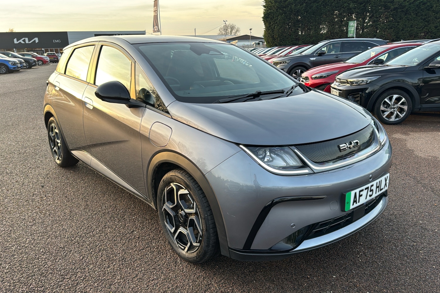 Used BYD Dolphin 2025 for sale - 76938344: Photo 32