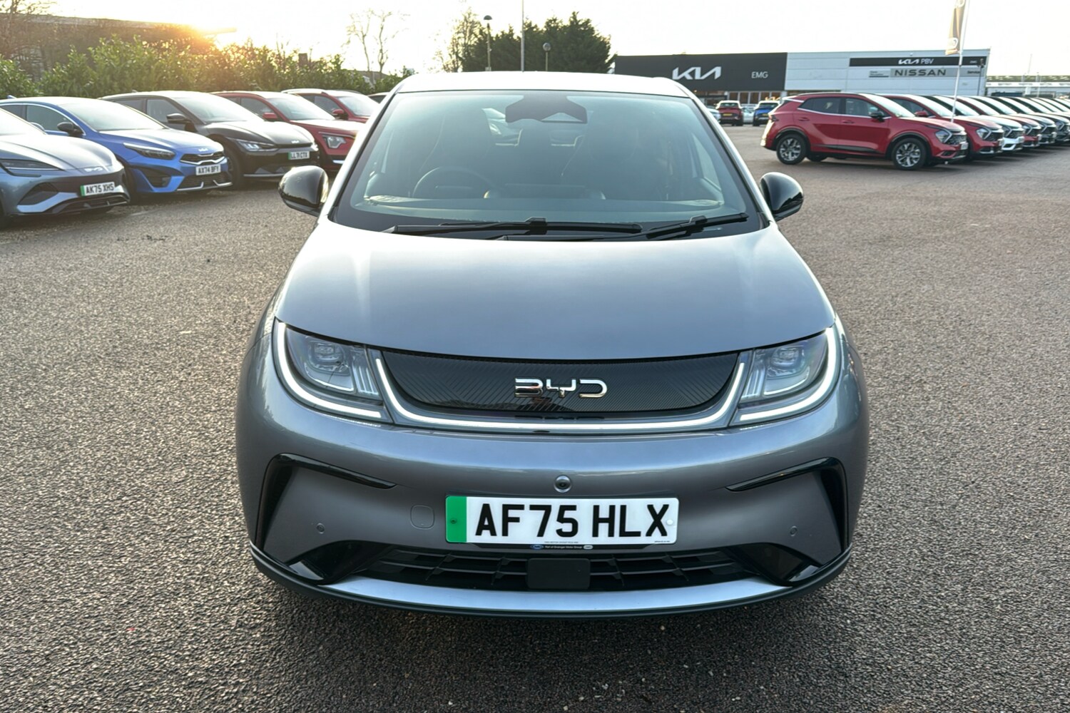 Used BYD Dolphin 2025 for sale - 76938344: Photo 33