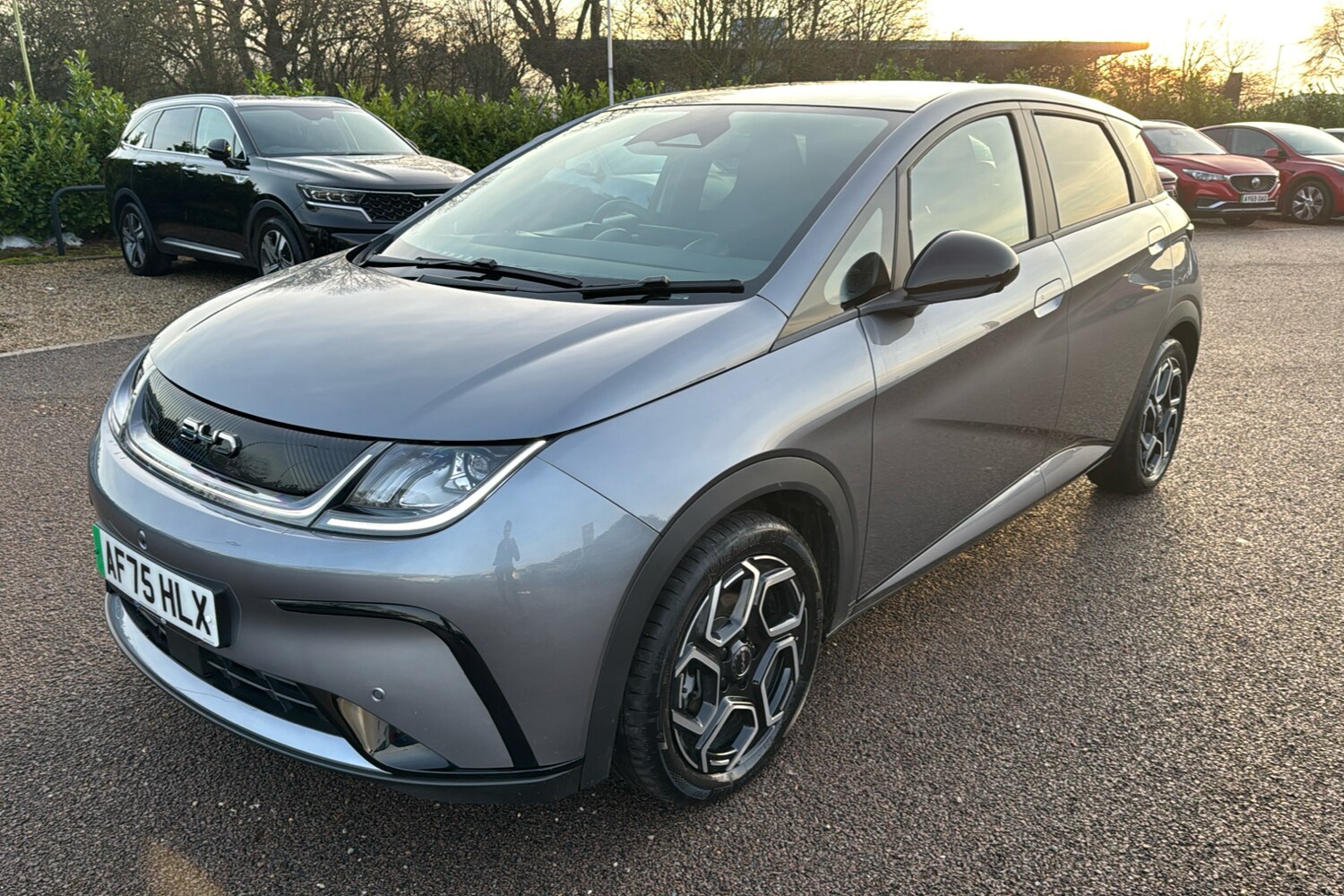 Used BYD Dolphin 2025 for sale - 76938344: Photo 34