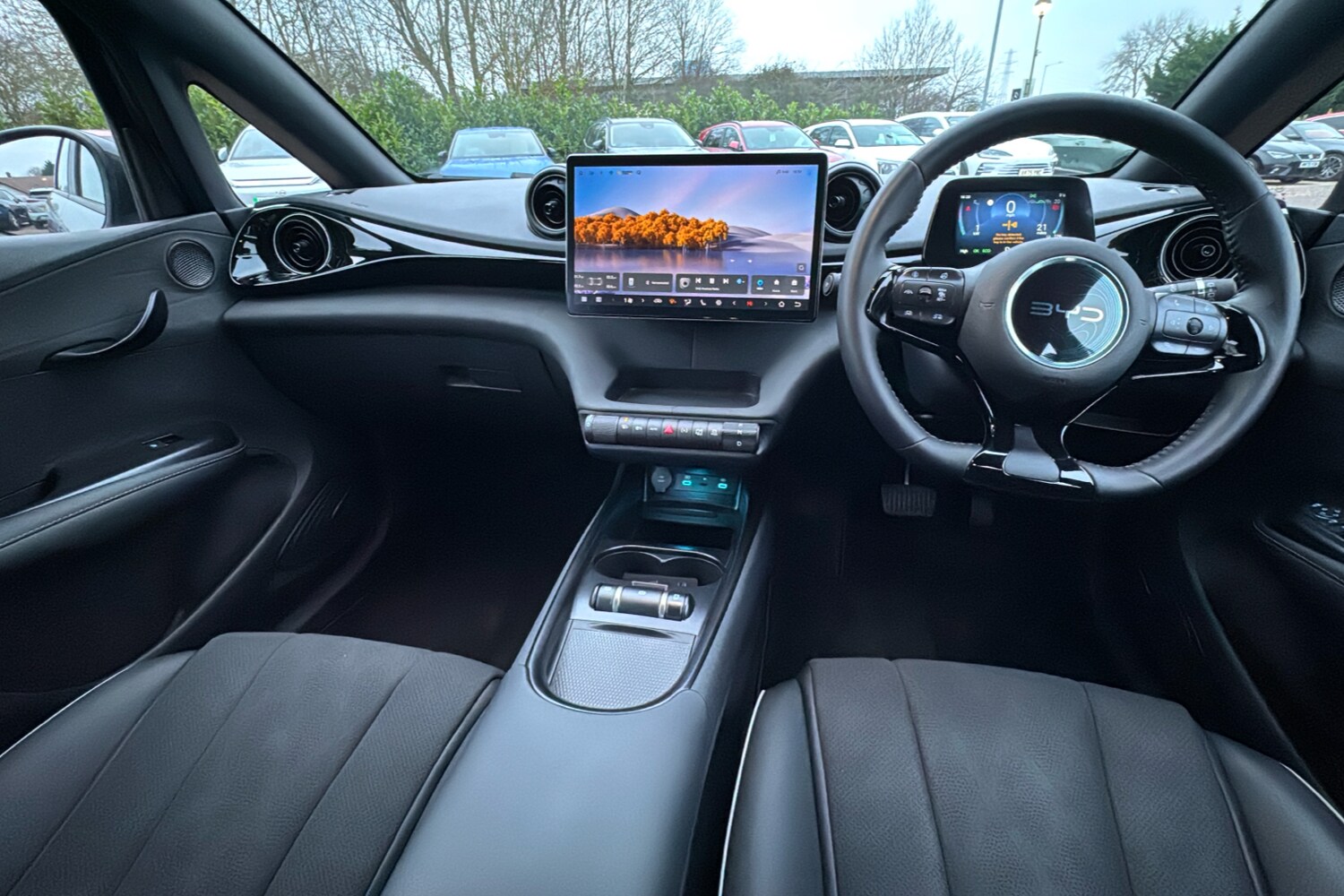 Used BYD Dolphin 2025 for sale - 77093658: Photo 9