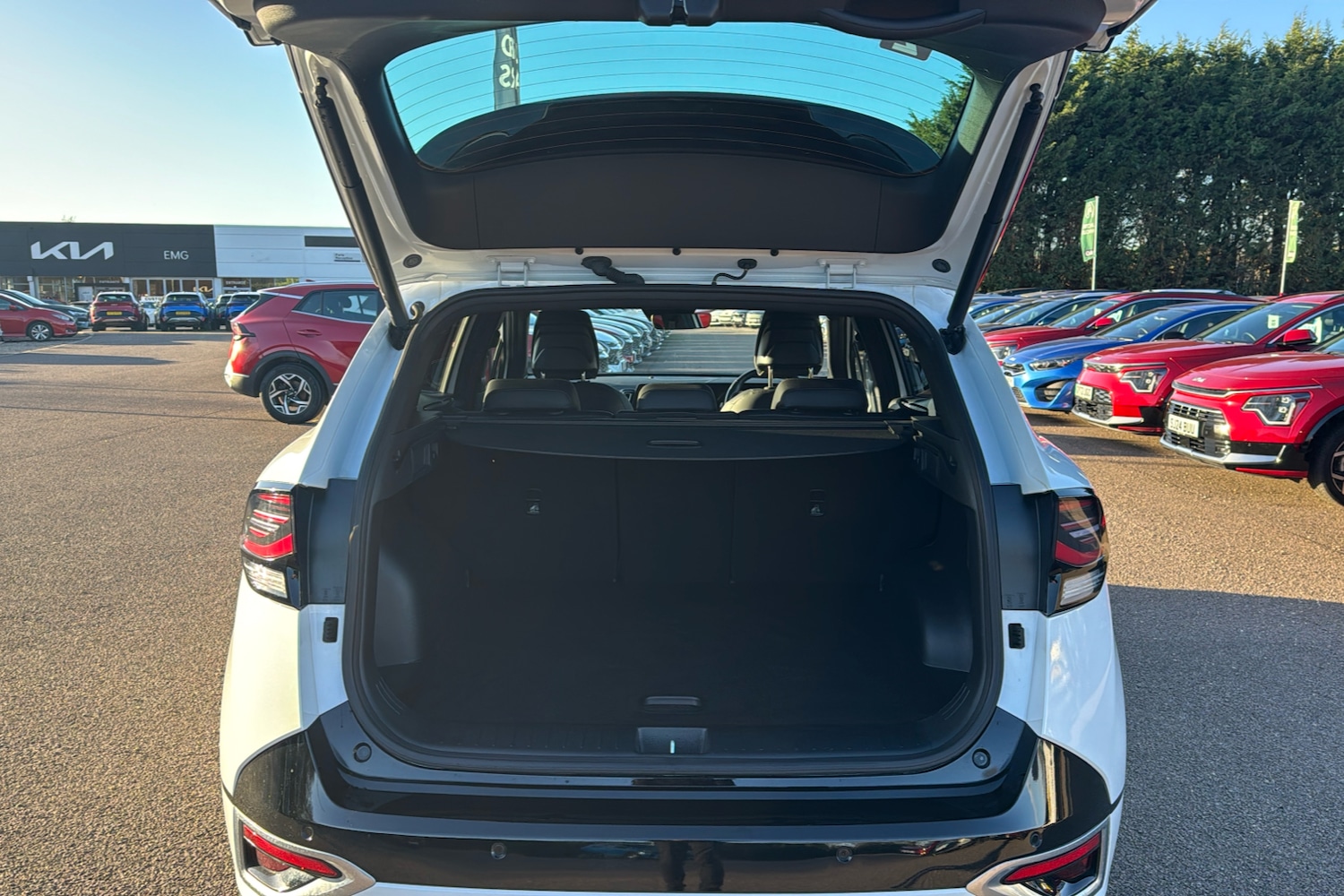 Used Kia Sportage 2024 for sale - 77076866: Photo 19