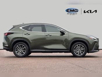 Used Lexus NX 2024 for sale - 77707899: Photo