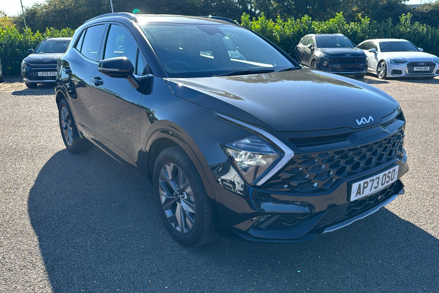 Used Kia Sportage 2024 for sale - 76133522: Photo 32