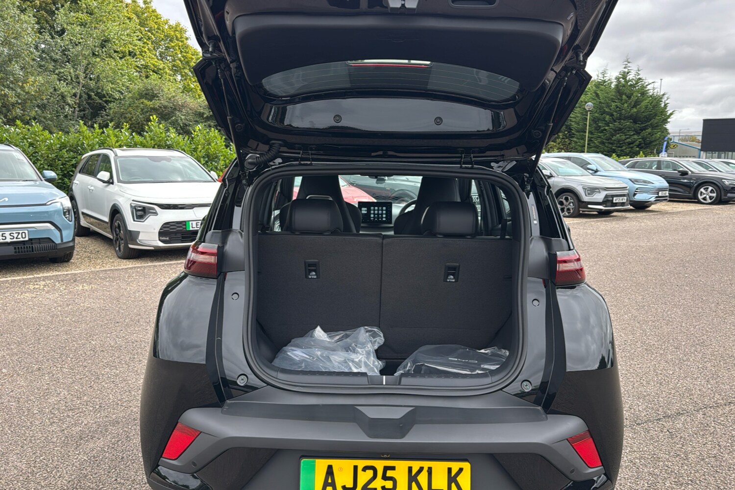 Used BYD Dolphin 2025 for sale - 77316820: Photo 19