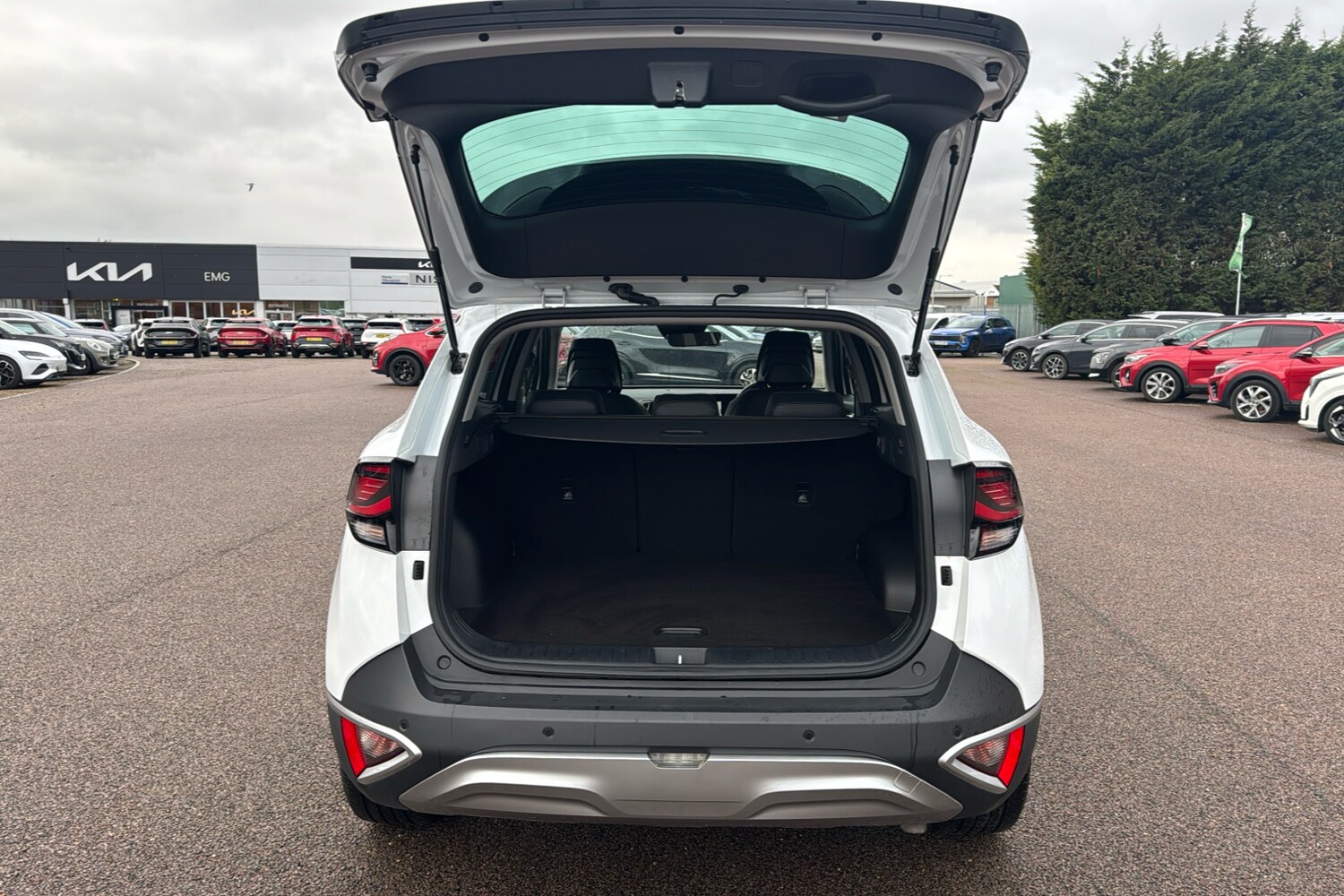 Used Kia Sportage 2025 for sale - 77541110: Photo 19