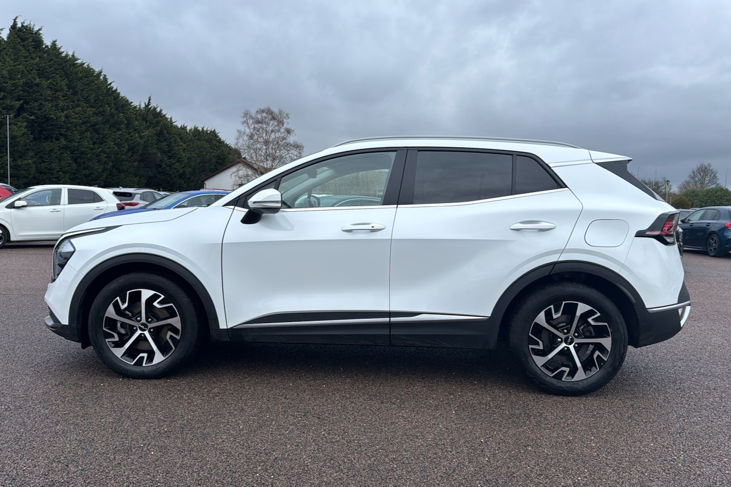 Used Kia Sportage 2025 for sale - 77541110: Photo 34