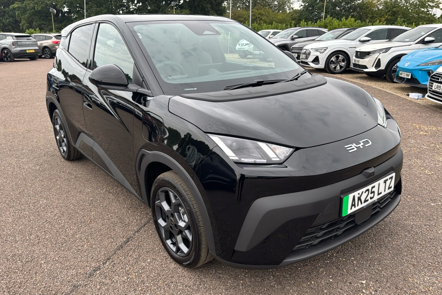 Vehicle 33