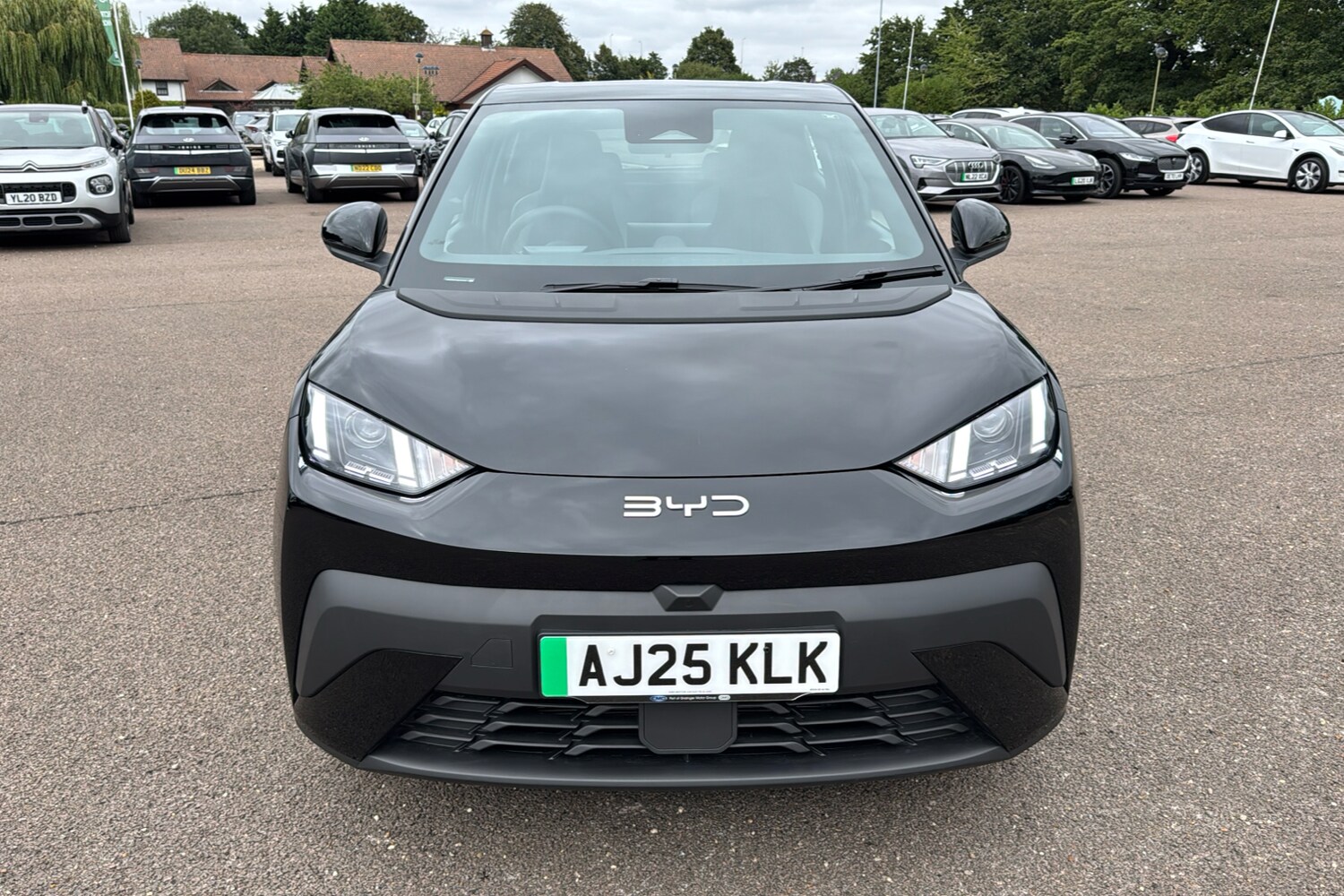 Used BYD Dolphin 2025 for sale - 77541079: Photo 33