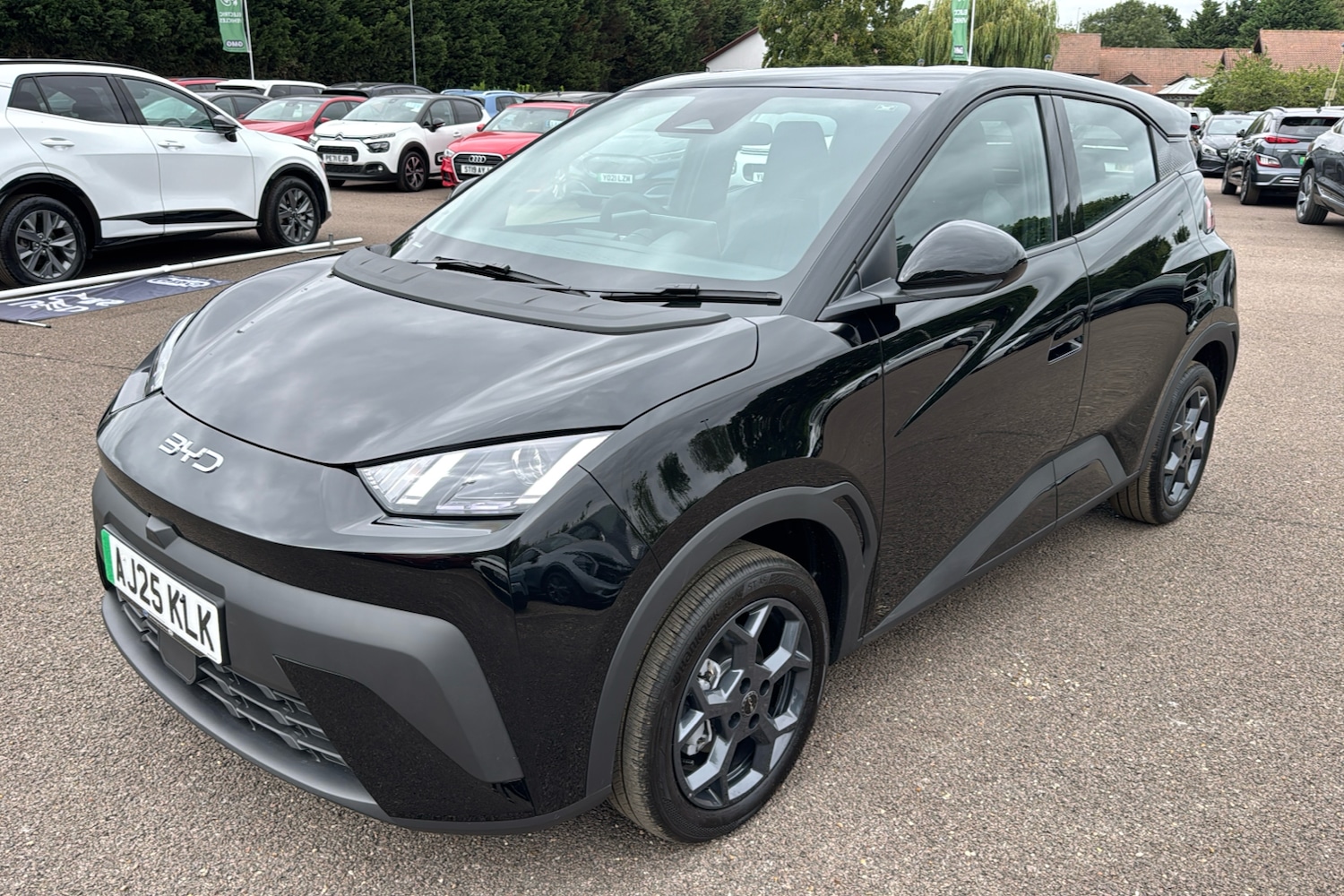 Used BYD Dolphin 2025 for sale - 77541079: Photo 34