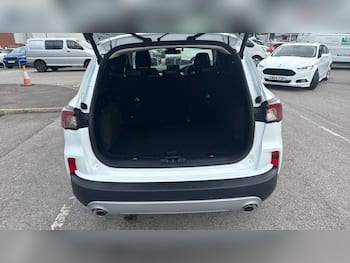 Used Ford Kuga 2023 for sale - 79636431: Photo