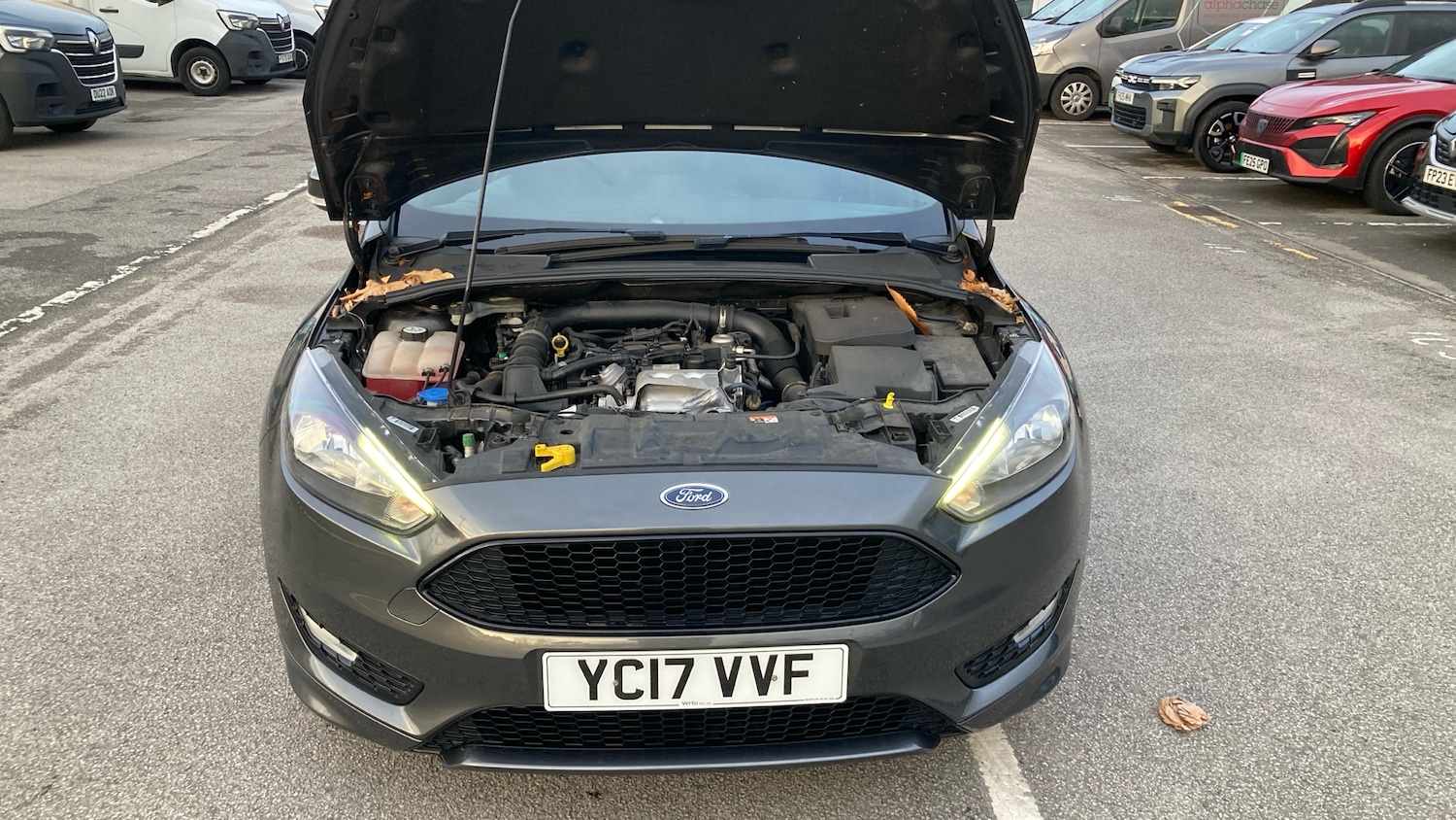 Used Ford Focus 2017 for sale - 76504828: Photo 8