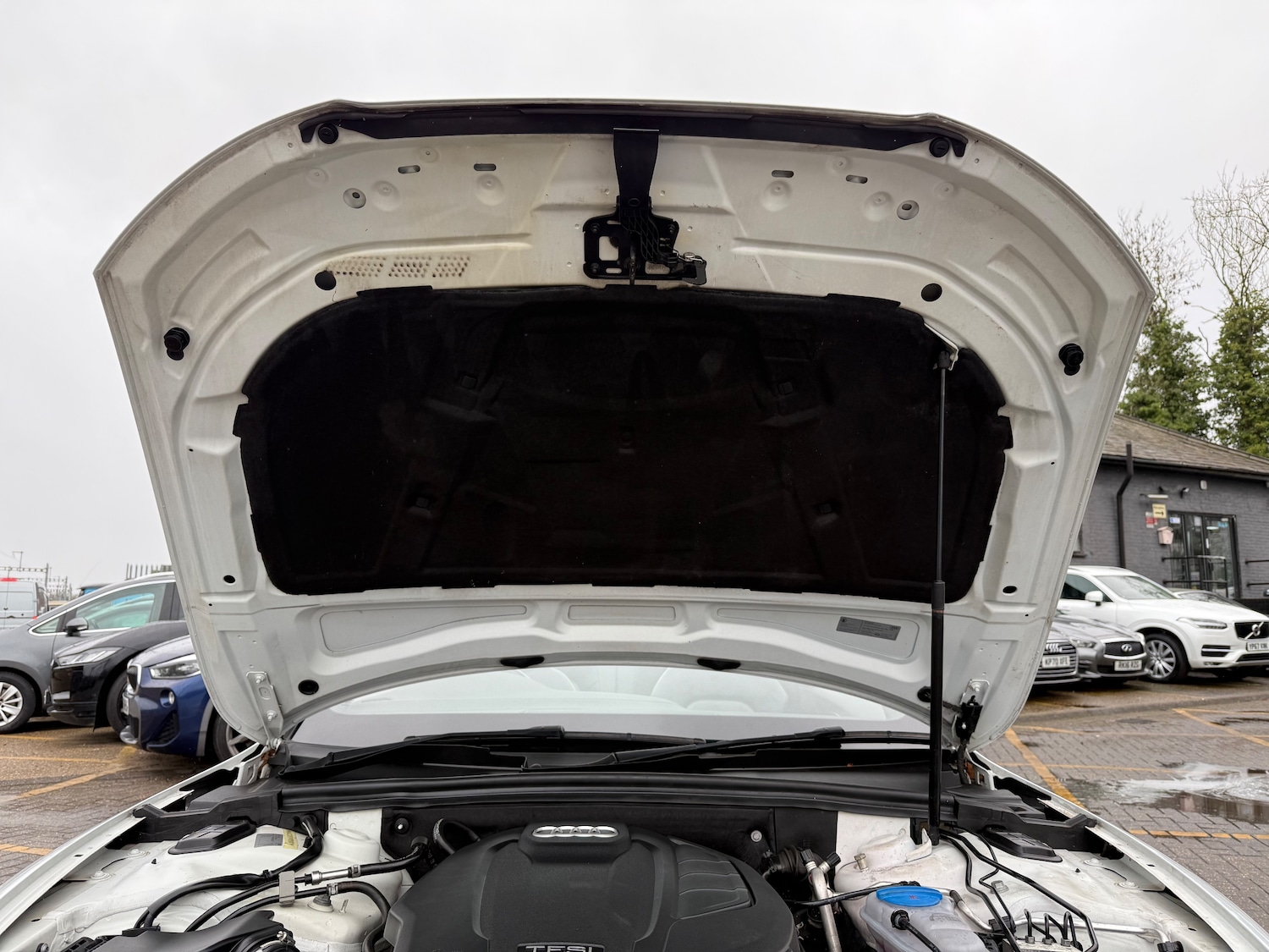 Used Audi A5 Cabriolet 2014 for sale - 76552101: Photo 69