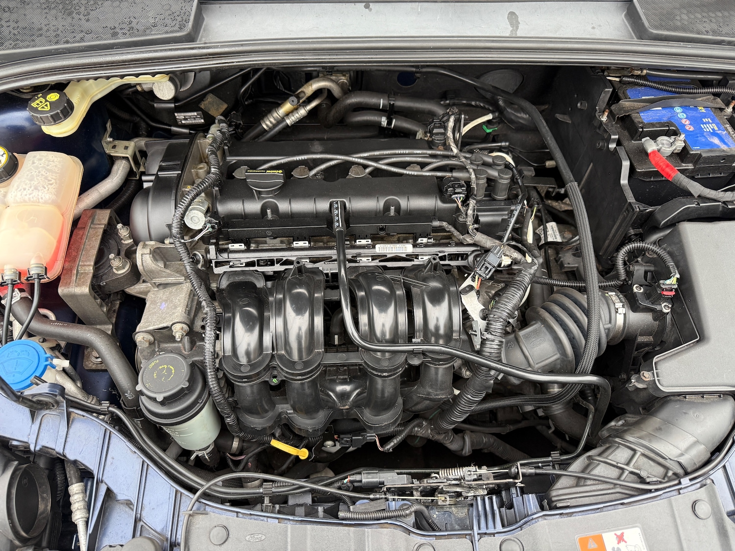 Used Ford Focus 2012 for sale - 76057811: Photo 41