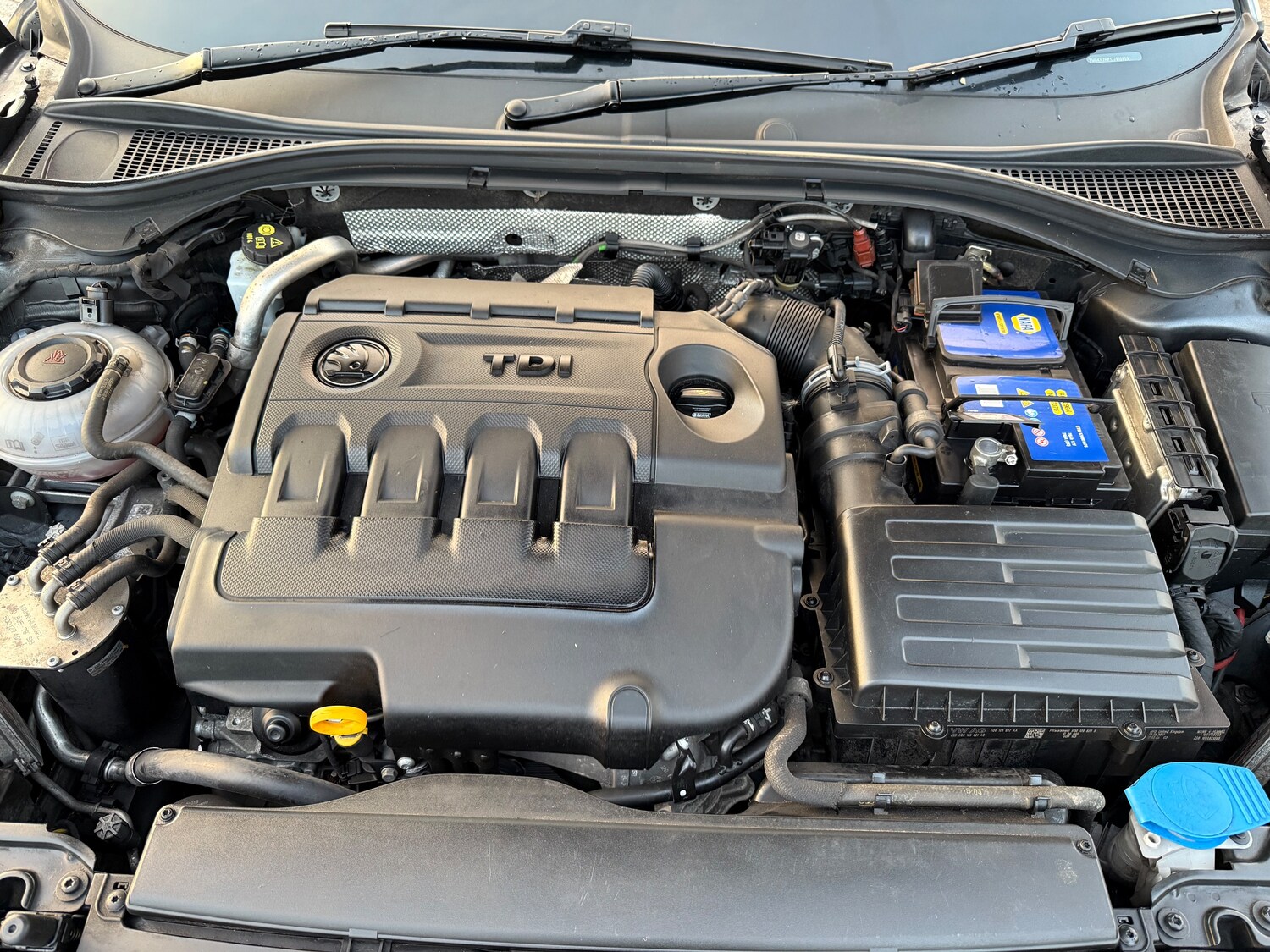 Used Skoda Superb 2017 for sale - 76362282: Photo 31