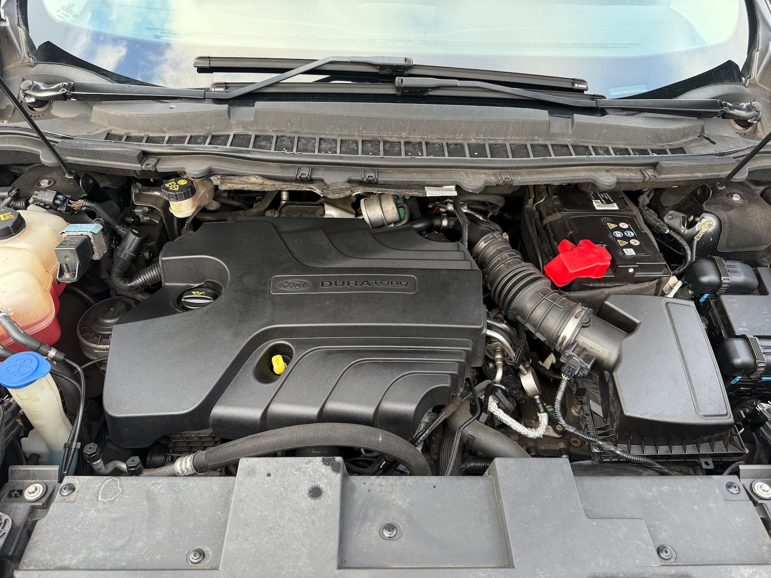 Used Ford Edge 2016 for sale - 76717632: Photo 19