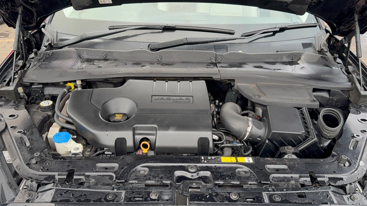 Used Jaguar E-Pace 2018 for sale - 77631363: Photo 25