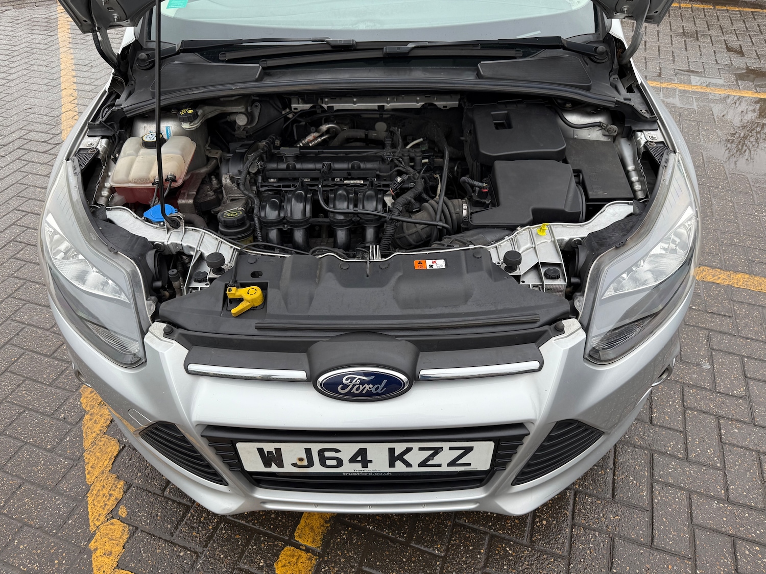 Used Ford Focus 2014 for sale - 76961901: Photo 10