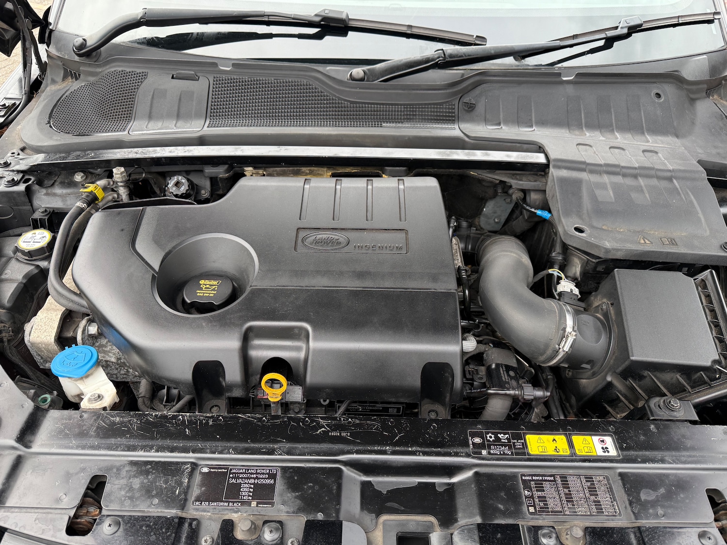 Used Land Rover Range Rover Evoque 2017 for sale - 76143663: Photo 11