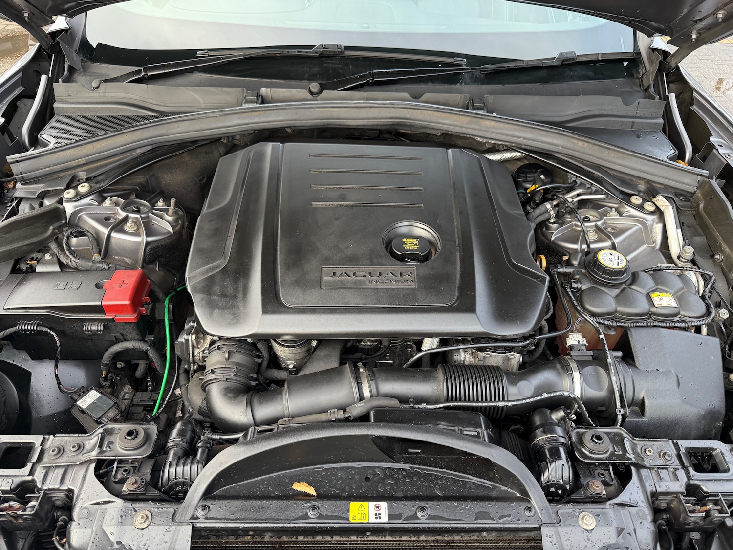 Used Jaguar F-Pace 2019 for sale - 76842326: Photo 49