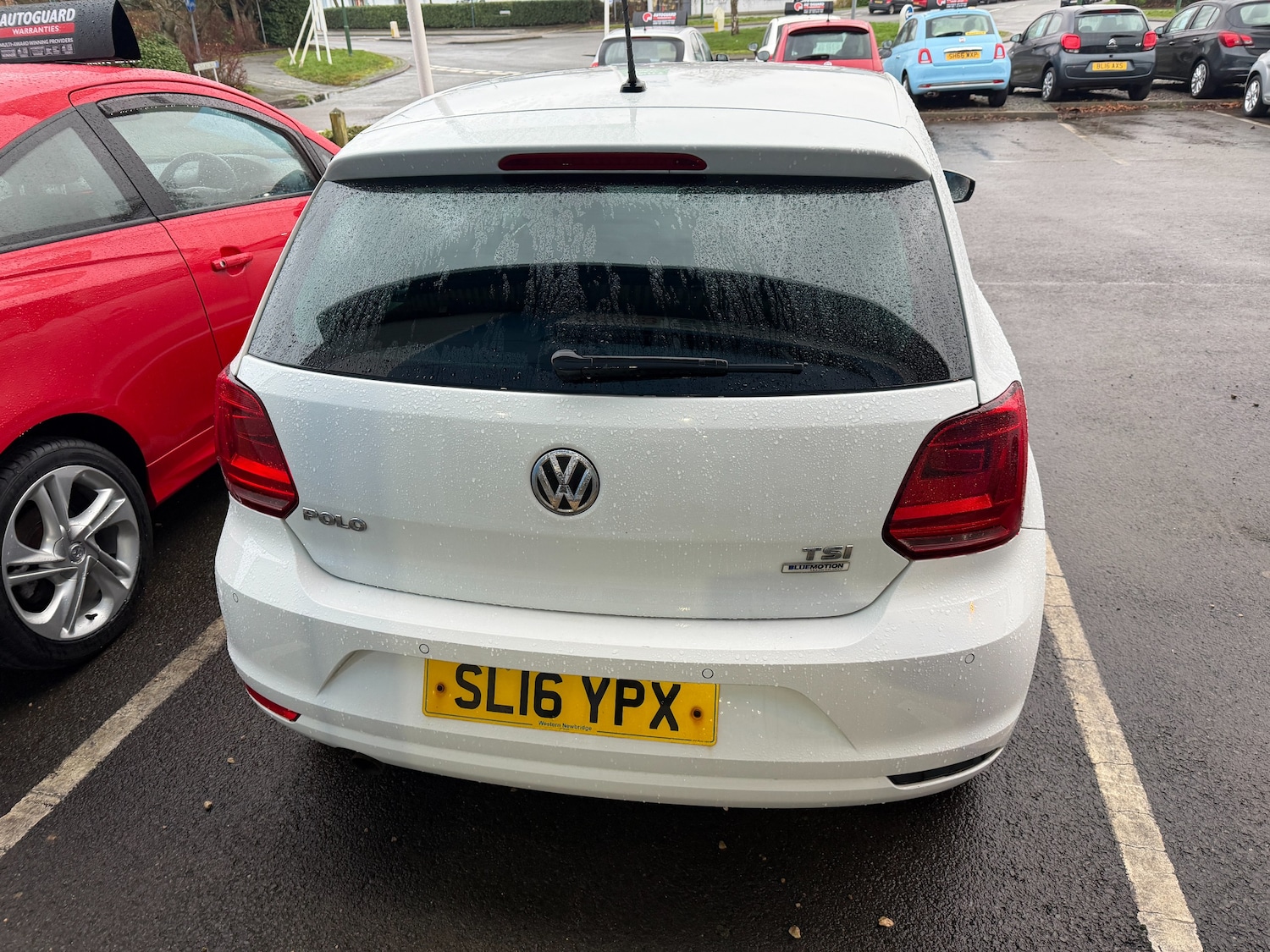 Used Volkswagen Polo 2016 for sale - 77287409: Photo 3