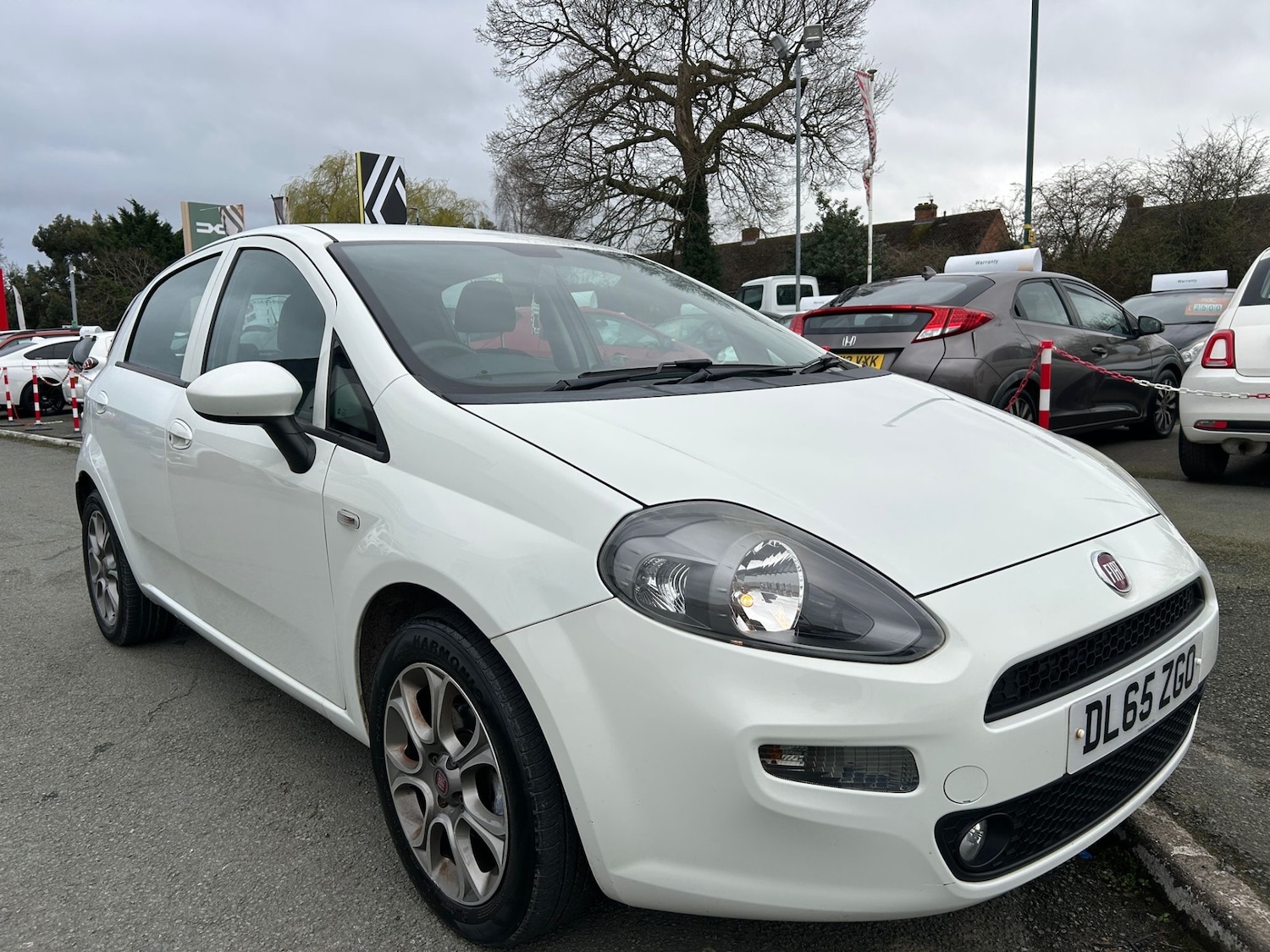 Used Fiat Punto 2016 for sale - 78084687: Photo 2