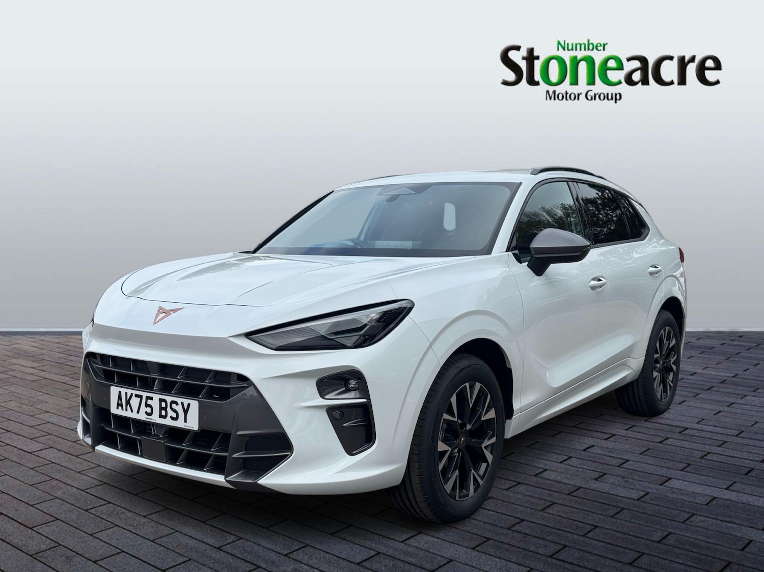 Used Cupra Terramar 2025 for sale - 77175300: Photo 7