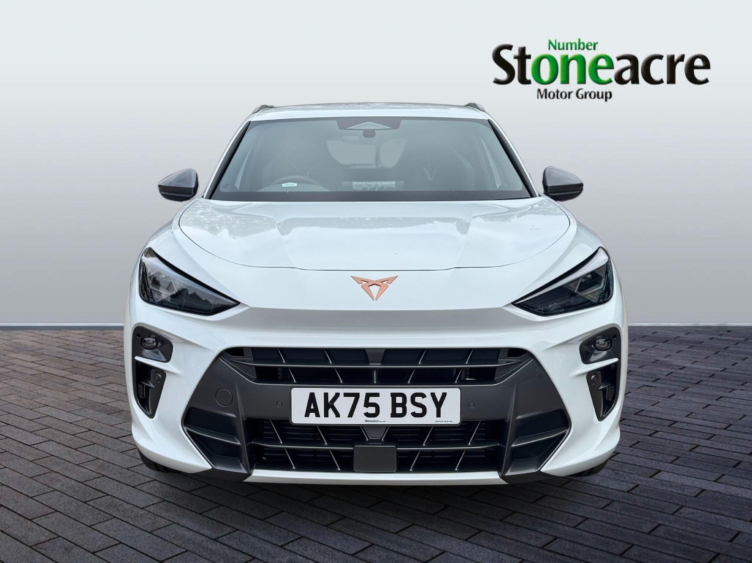 Used Cupra Terramar 2025 for sale - 77175300: Photo 8