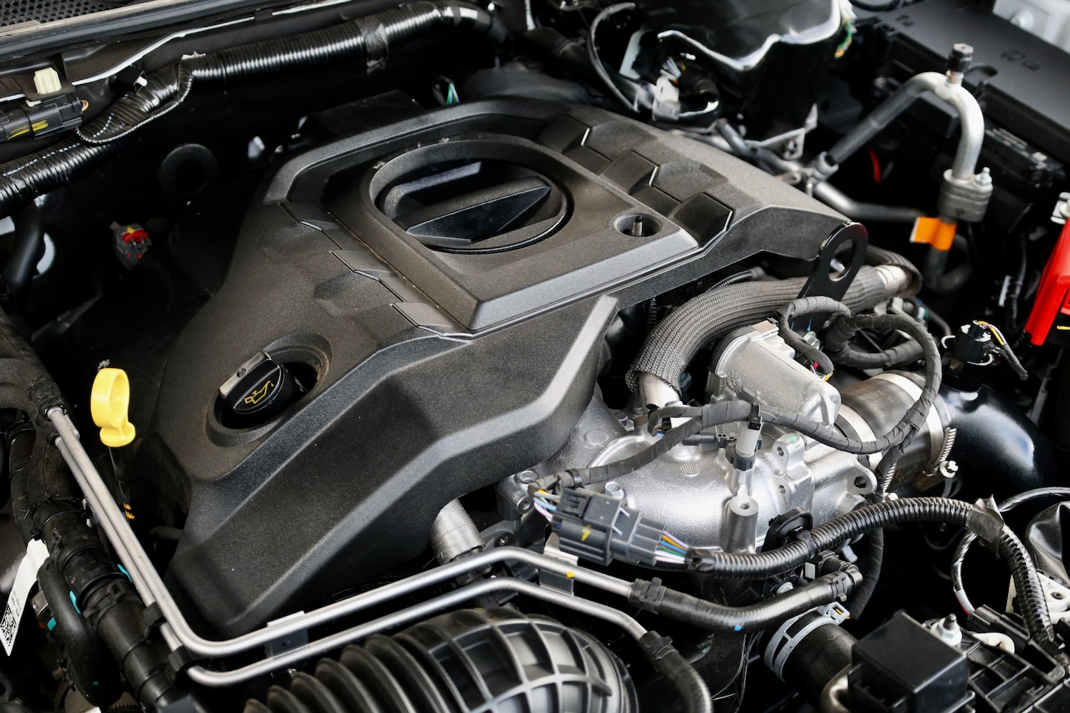 Used Ford Ranger 2025 for sale - 77179061: Photo 33